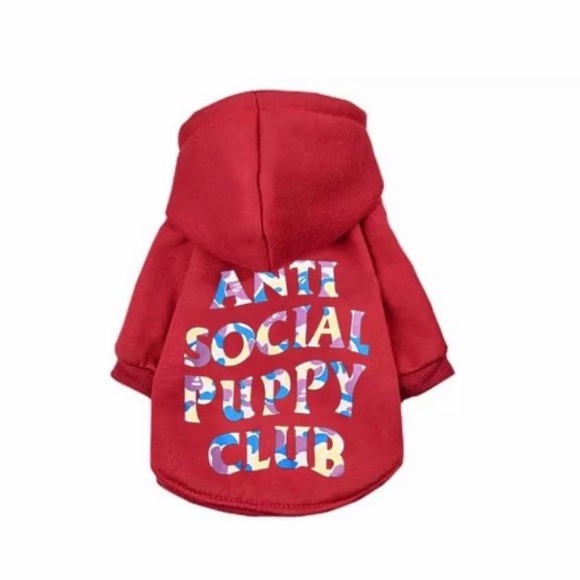 anti social puppy club hoodie